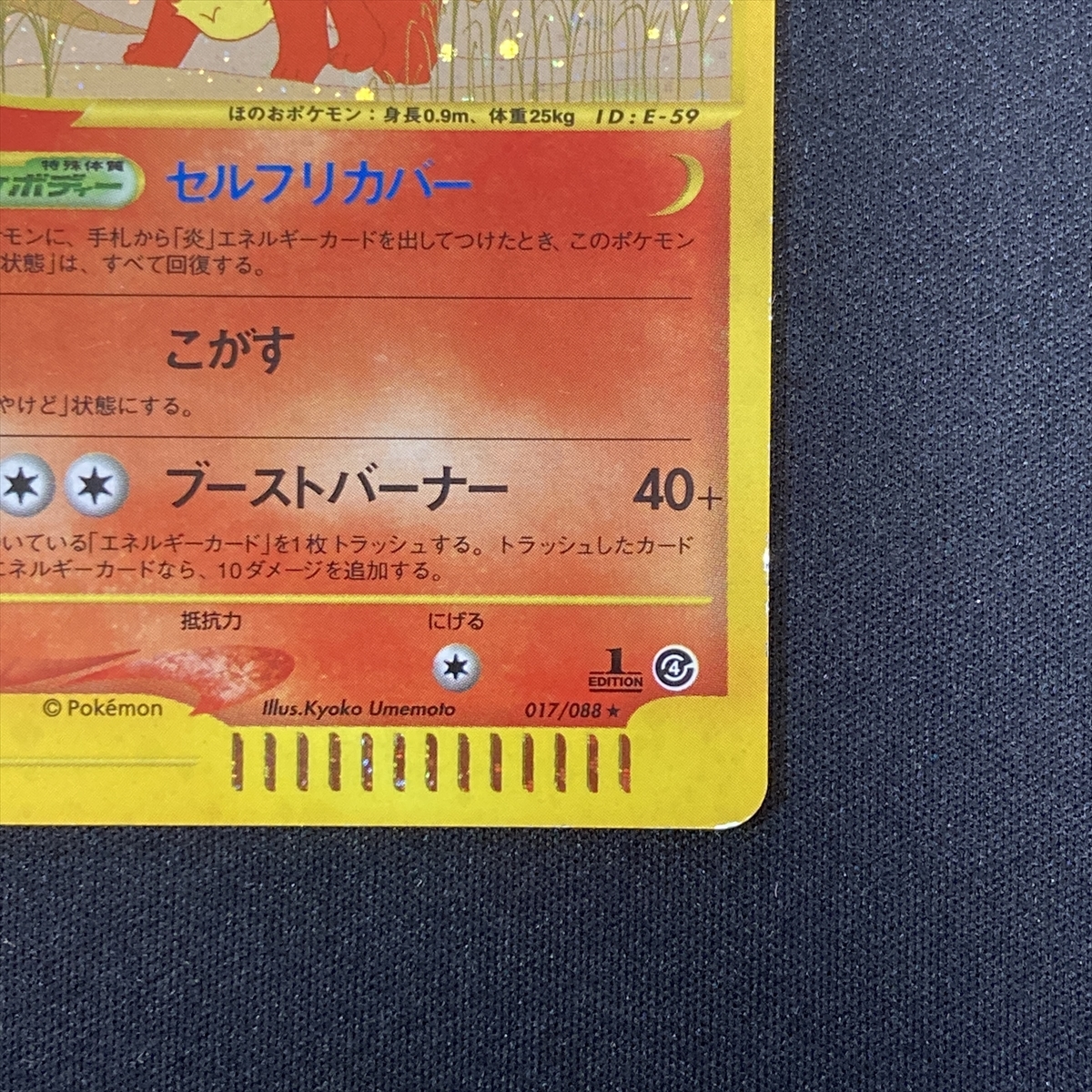Flareon 017/088 Pokemon Card e-Series Expedition Holo Japanese ポケモン カード eカード ブースター ポケカ ホロ 210805_画像7