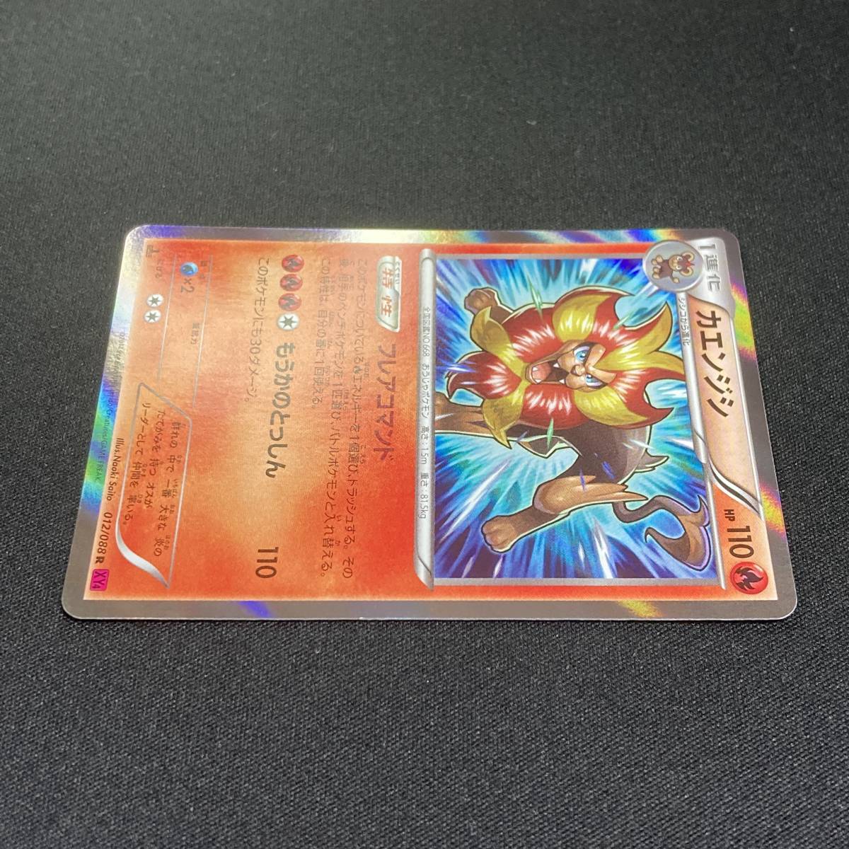 Pyroar 012/088 R XY4 1st Edition Holo Pokemon Card Japanese ポケモン カード カエンジシ ポケカ 220221_画像3