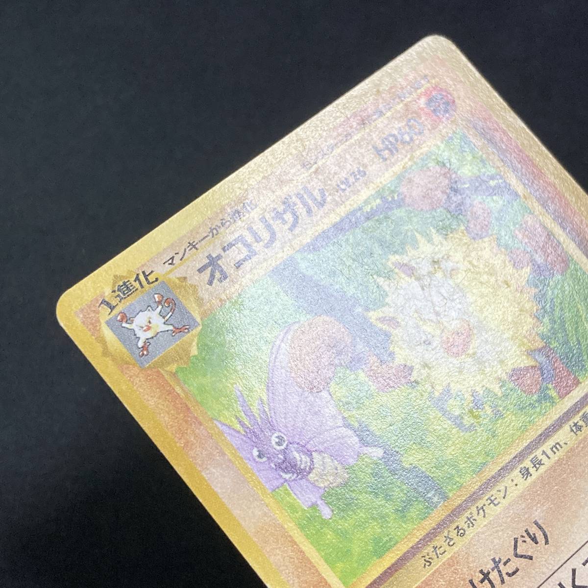 Primeape Southern Island Promo No.057 Pokemon Card Japanese ポケモン カード オコリザル サザンアイランド ポケカ 220913_画像6