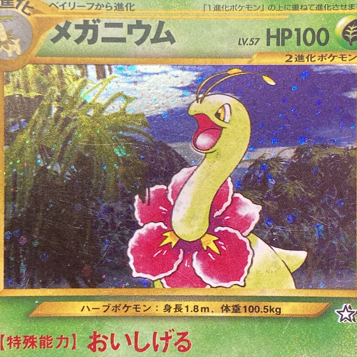 Meganium Pokemon Card No.154 Neo Genesis Holo Japanese ポケモン カード メガニウム ポケカ ホロ 旧裏面 210820_画像7