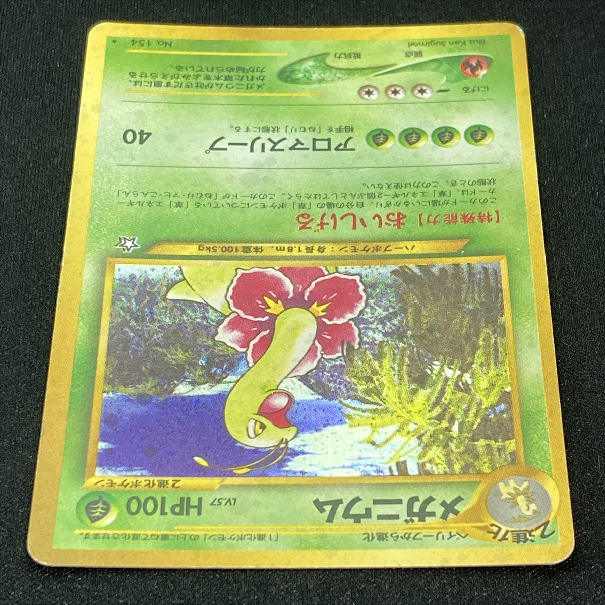 Meganium Pokemon Card No.154 Neo Genesis Holo Japanese ポケモン カード メガニウム ポケカ ホロ 旧裏面 210820_画像4