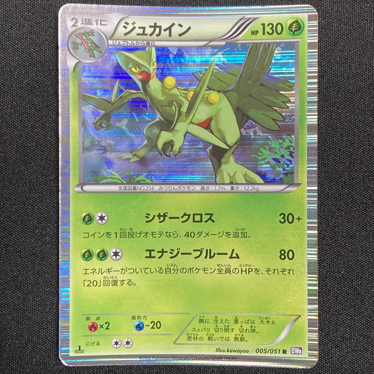 Sceptile 005/051 R BW8 1st Edition Holo Pokemon Card Japanese ポケモン カード ジュカイン ポケカ 220107_画像1