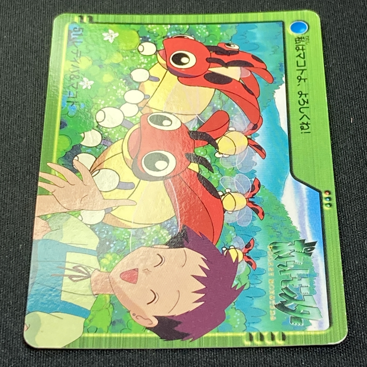 Ledyba & Verity 51. Pokemon Carddass Japanese 2000 ポケモン カードダス レディバ＆マコト ポケカ 211114_画像3