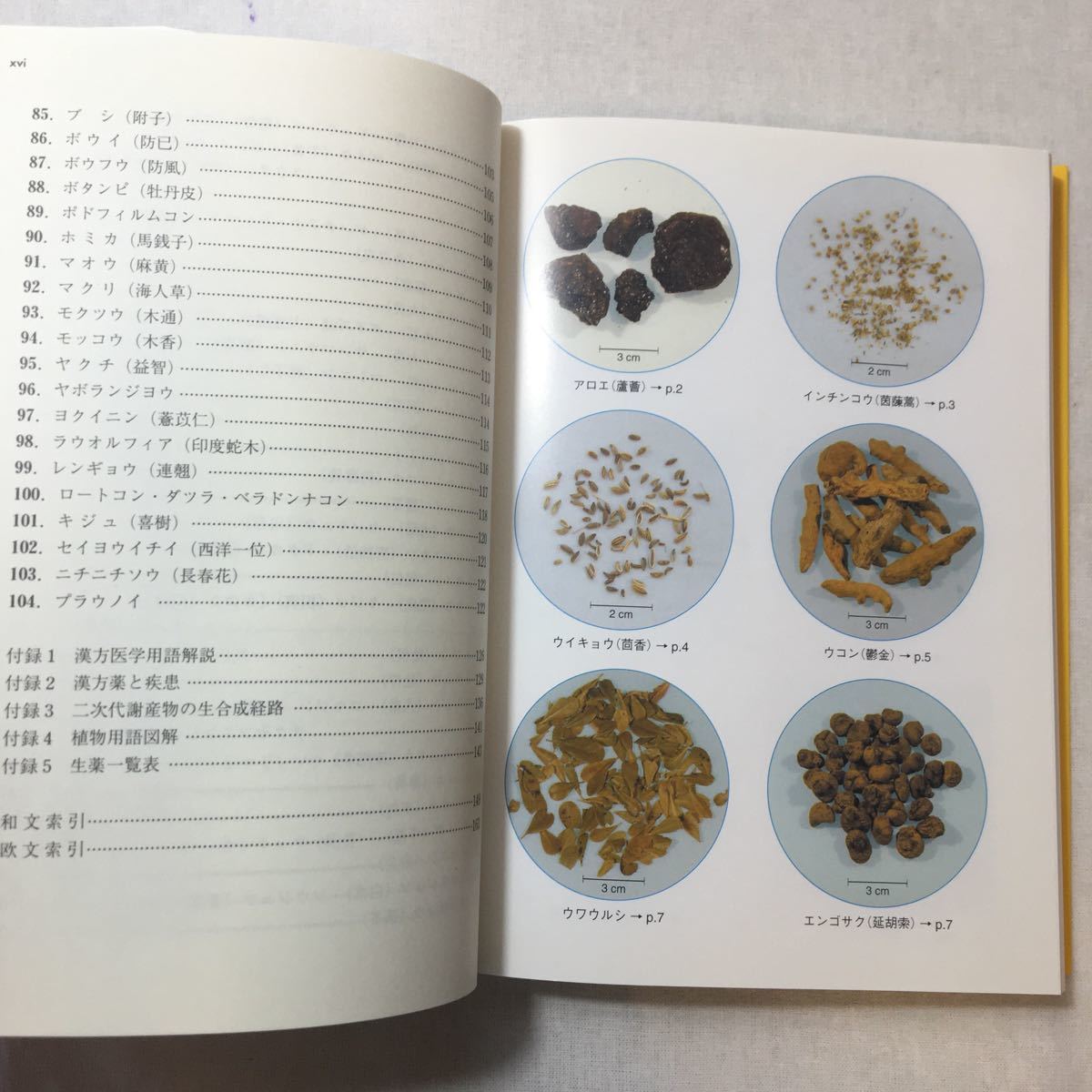 zaa-379! medicine student * pharmacist therefore. ..... want raw medicine 100-.* traditional Chinese medicine place person separate volume 2004/3/1 Japan pharmacology .( editing ) peace rice field 