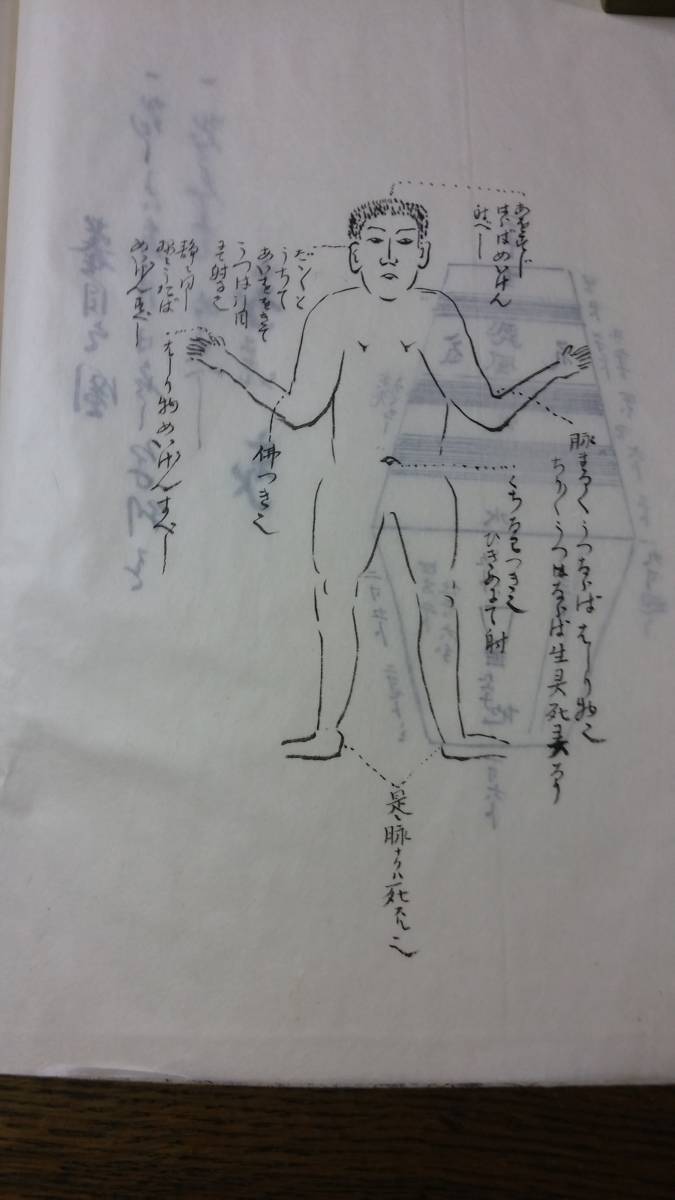 写本 弓術 武術 兵法 20冊 469 古書・古文書 写本 弓術 武術 兵法 20冊 469 古書・古文書