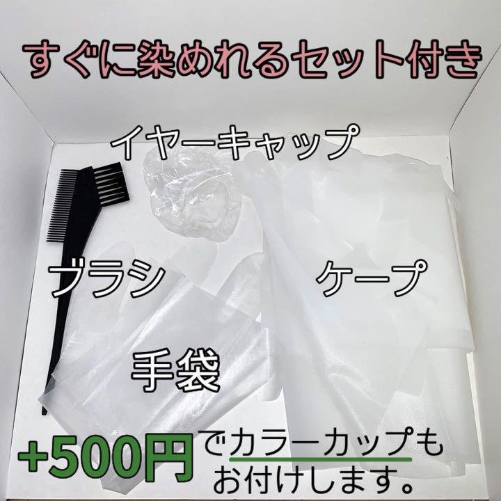 エヌドット　すぐに染めれるダブルカラーセット　フォギーベージュ　ブリーチ剤　ロング用