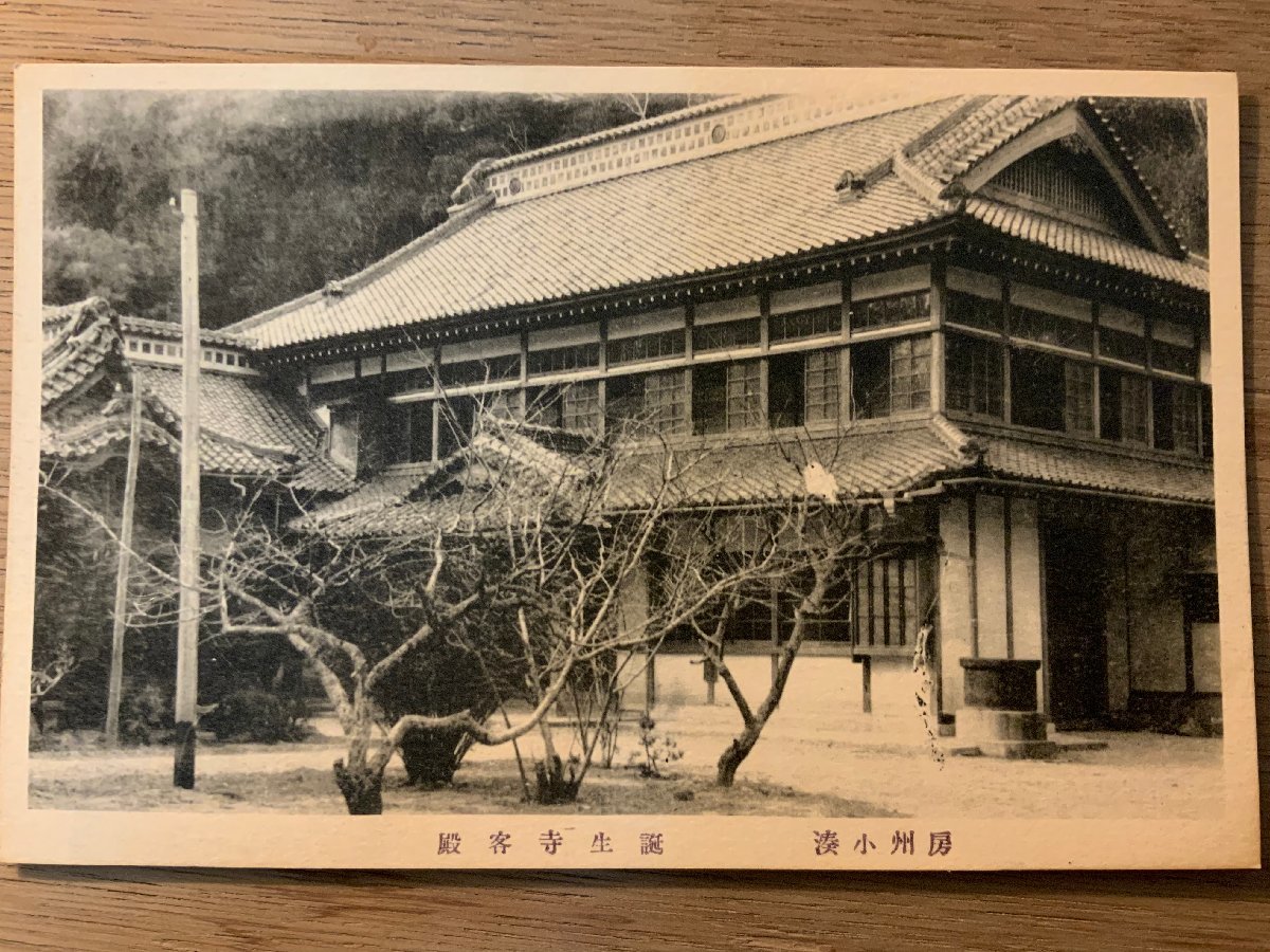 PP-6132 ■送料無料■ 千葉県 房州小湊 誕生寺客殿 庭 庭園 建物 建築物 神社 寺 宗教 印刷ミス 絵葉書 写真 古写真/くNAら_画像1