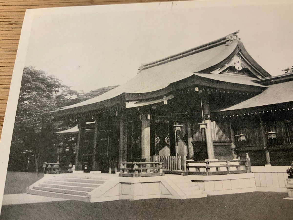 PP-6186 ■送料無料■ 兵庫県 神戸 別格官幣社 湊川神社拝殿 狛犬 神社 寺 宗教 建築物 建物 楠木正成 絵葉書 写真 古写真/くNAら _画像2