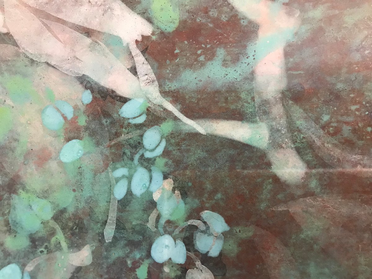 BA ■送料無料■ 露木恵子 あおと 水彩畫 F8號 肉筆 サイン 在銘 絵畫 花 自然 額裝 美術(shù)品 インテリア レトロ 箱付き 本體4515g /くJYら