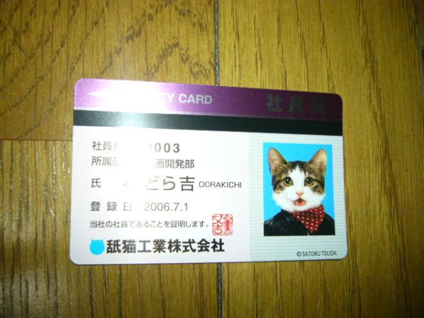 猫　なめ猫　社員証　カード　どら吉　赤いスカーフをしてる　ニャ～　裏は紫色　他カードどの同梱可　なめんなよが人気ですので　未使用　_画像1