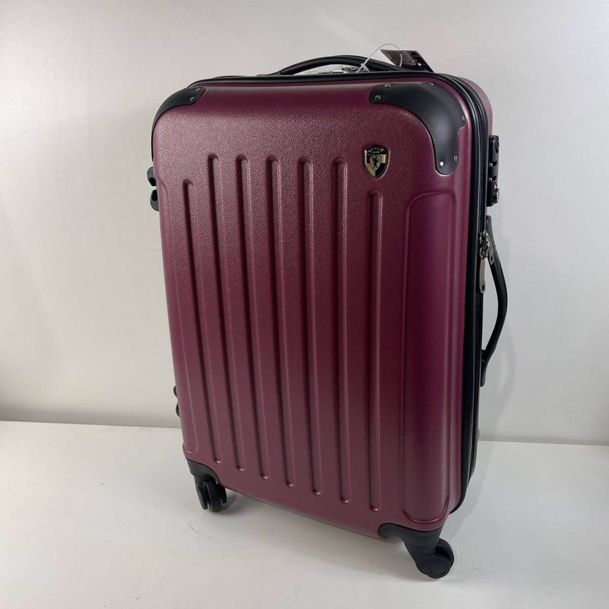 9F-4）GRIFFIN LAND グリフィンランド キャリーバッグ スーツケース
