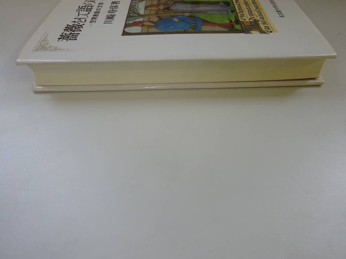 V0Dω 初版本 薔薇をして語らしめよ　空間表象の文学　川崎寿彦　名古屋大学出版会　1991年_画像5