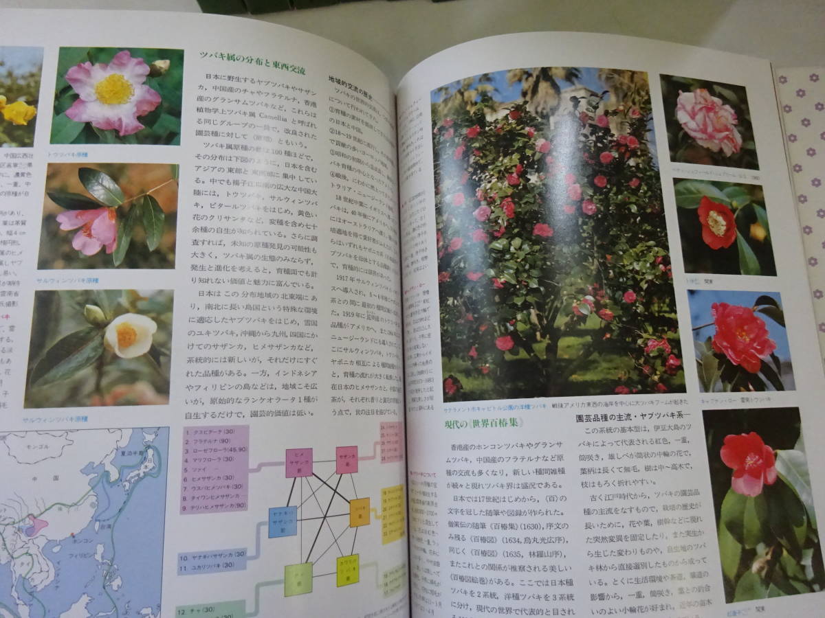 RK2Eω.. company gardening large encyclopedia f rule all 12 volume another volume 1 pcs. together 13 pcs. set . interval . one .. company 