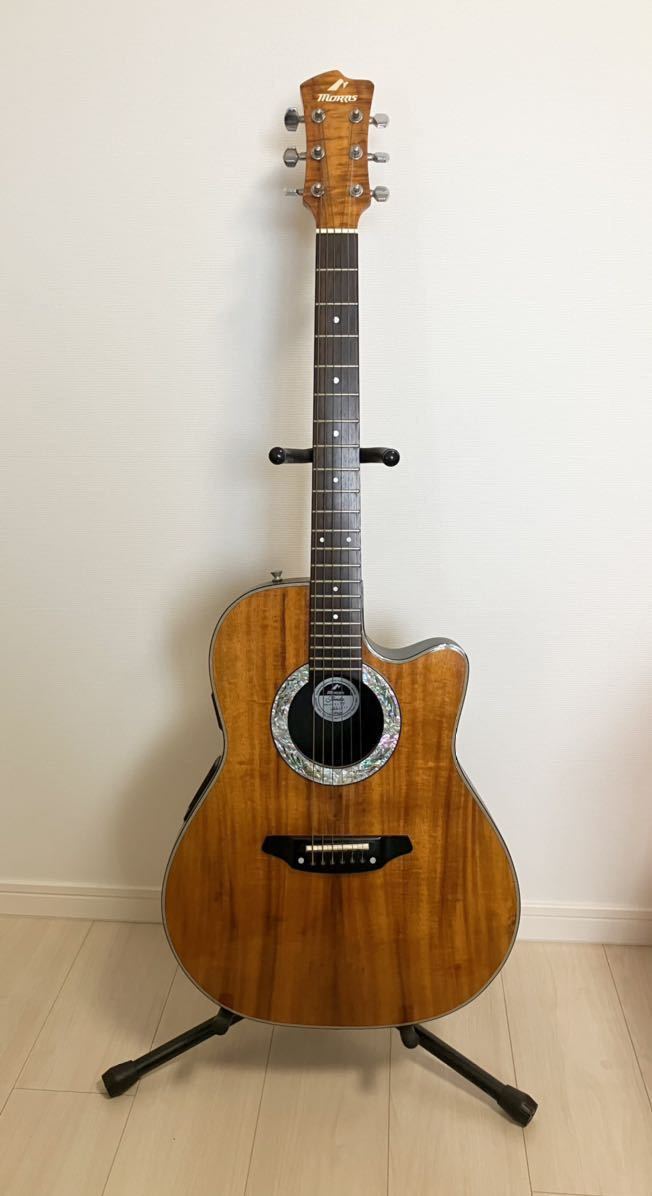 希少品 Morris モーリス Tornado トルネード エレアコ WT808 コア