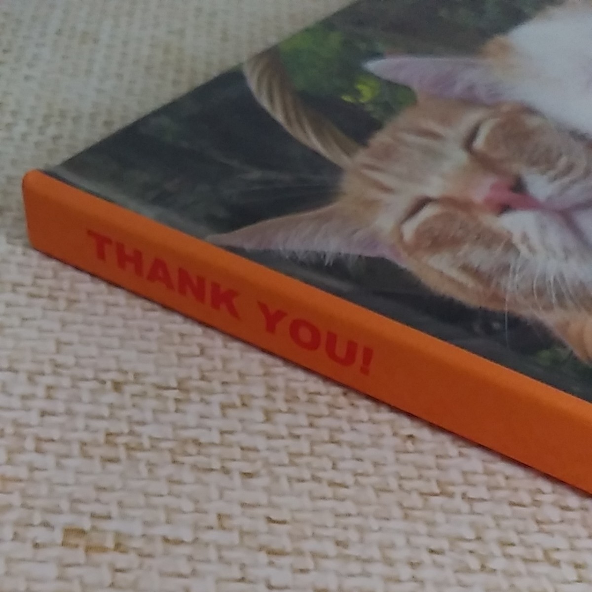 「THANK YOU ！」かご猫シロより愛をこめて　ミニ本　ミニ 写真集
