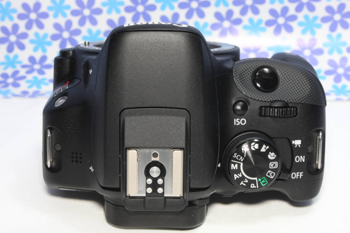 極上美品☆Canon キャノン EOS kiss X7☆高画質☆フルHD動画☆初心者