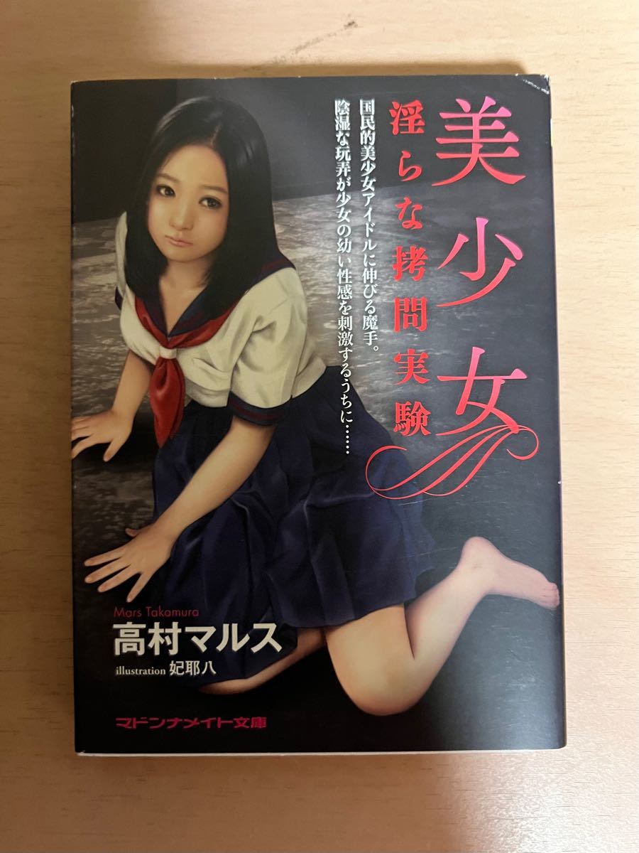 マドンナメイト文庫4冊 マドンナメイト文庫4冊