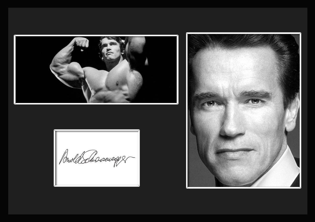 Yahoo!オークション - 10種類 Arnold Schwarzenegger/アーノルド・シュ