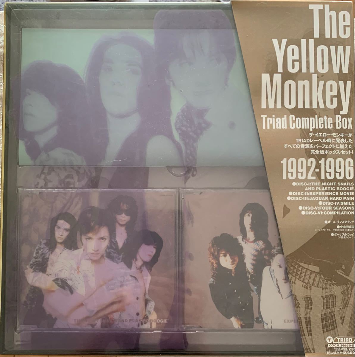 THE YELLOW MONKEY/トライアド・コンプリート・ボックス 未開封