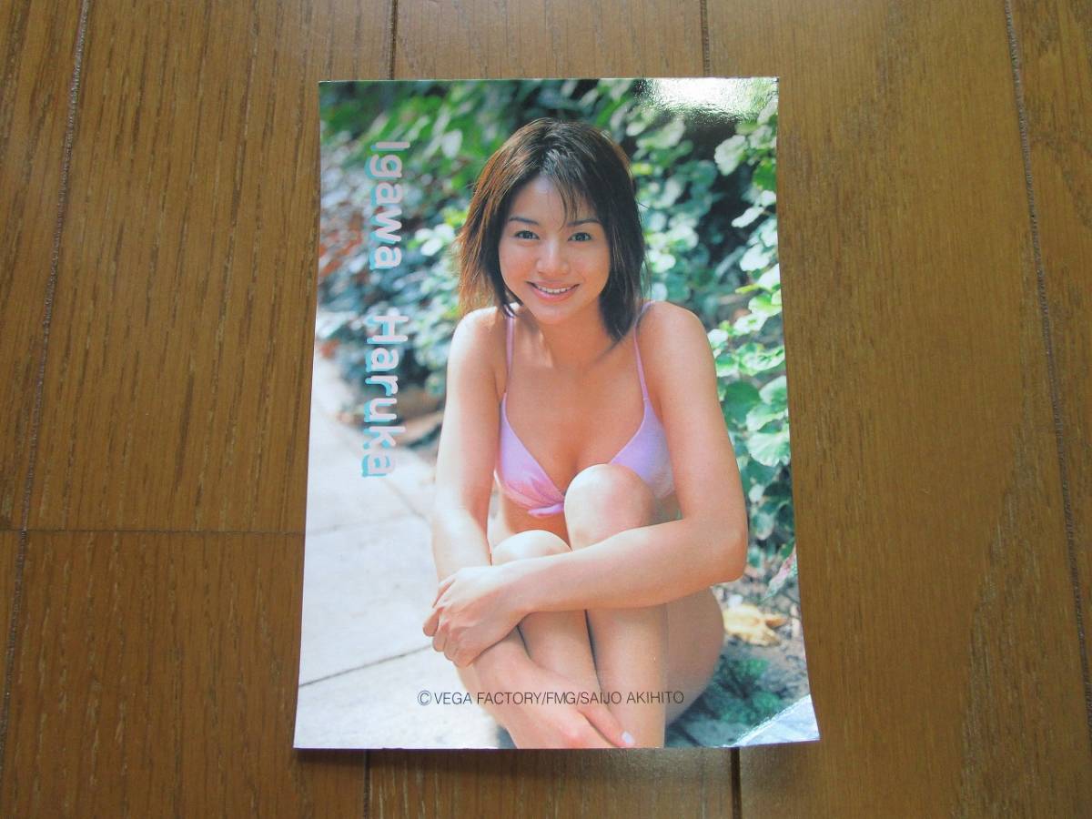 本物保証! DVD 井川遥 Far ecousarecycling.com