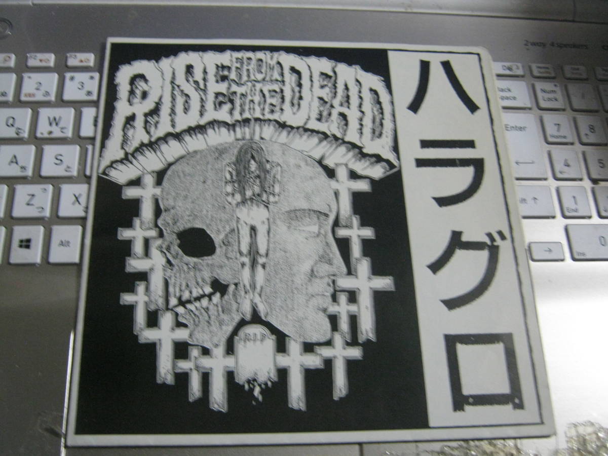 RISE FROM THE DEAD ライズ・フロム・ザ・デッド R.F.D. / ハラグロ ソノシート S.O.B. OUTO CROW チキンバウエルズ Brutus K.G.G.M GUDONの画像1