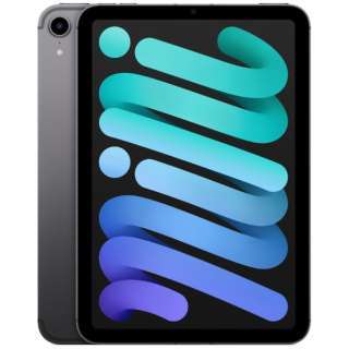 ☆極美品☆ iPad mini 8.3インチ 第6世代 Wi-Fi+Cellular 64GB 2021