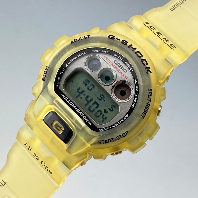 CASIO G-SHOCK DW-6900K-8CT イルカクジラ会議 イルクジ スケルトン