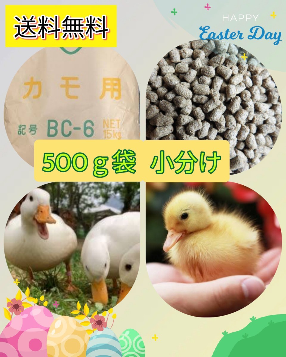 ☆送料無料 3kg BC-6 - 鳥用品