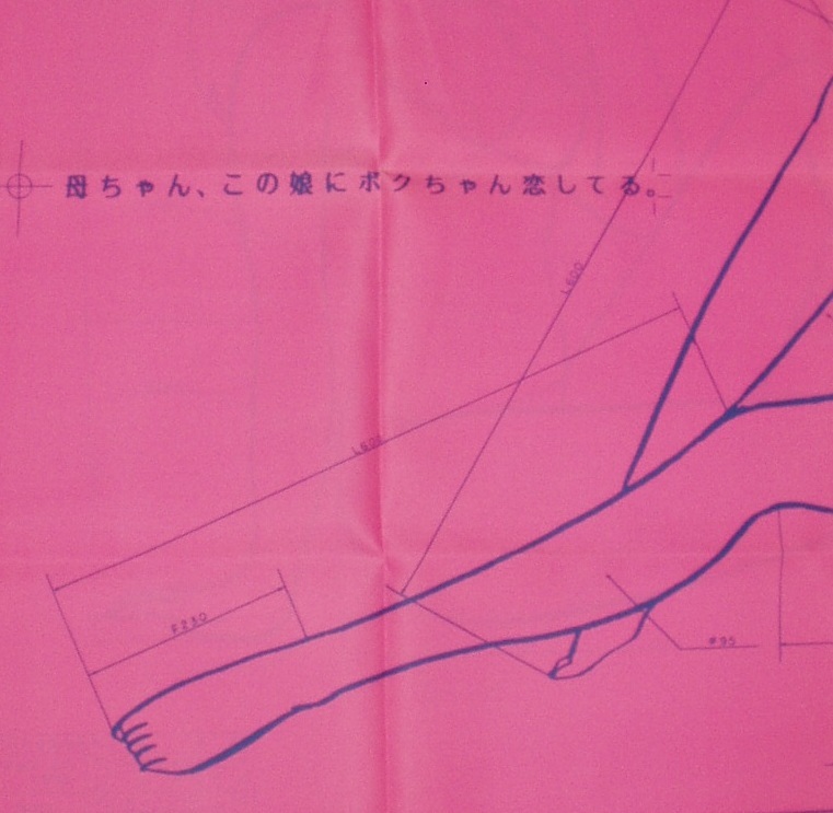  Maison Ikkoku sound less .. design map cloth poster Big Comics pilitsu. pre goods height .. beautiful . Shogakukan Inc. 