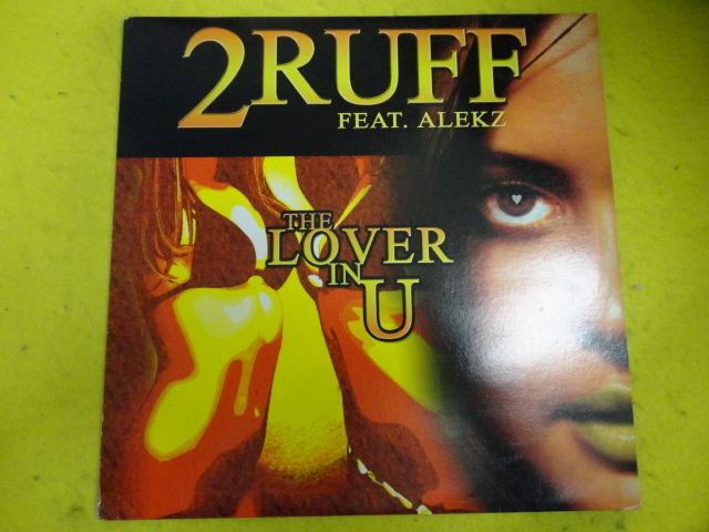 2 Ruff ft. Shanaa Only You (That I Need) キャッチーメロディアス R&B 12 人気のサウンド　The Lover In You 収録 　視聴_画像1