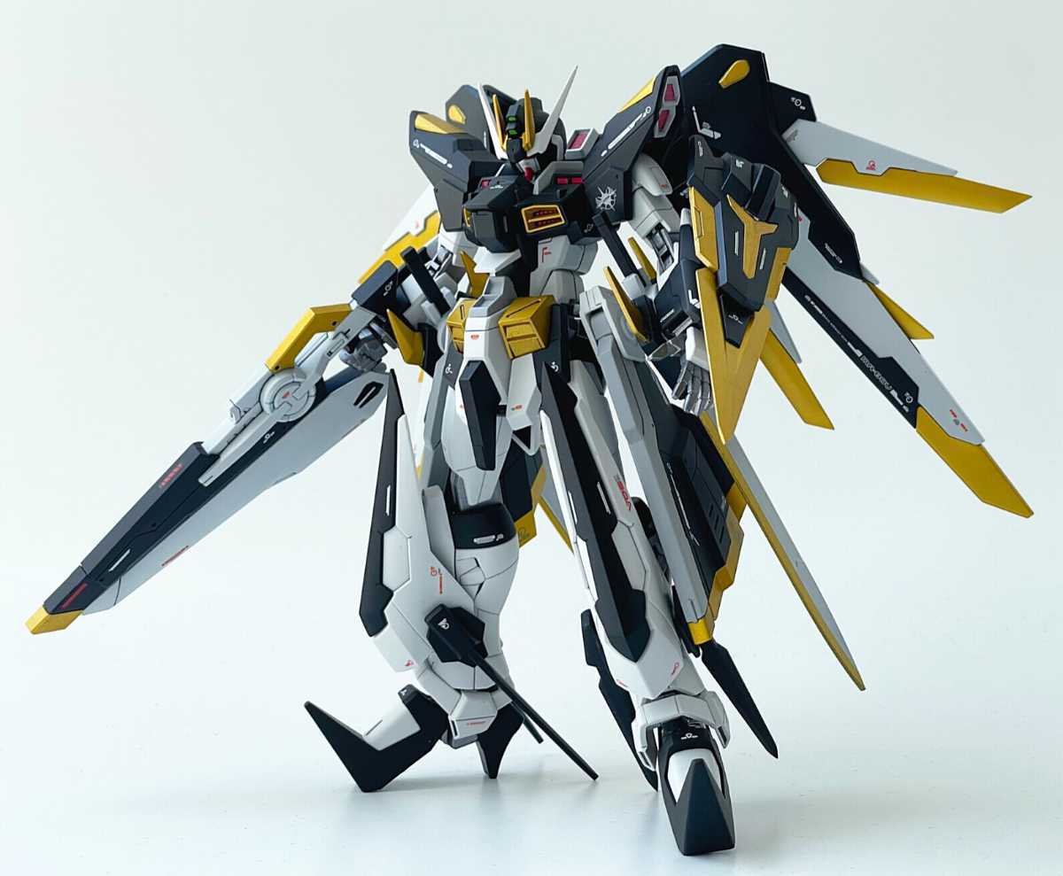 HG ストライクフリーダム オリジナルミキシングガンプラ 改修塗装済み