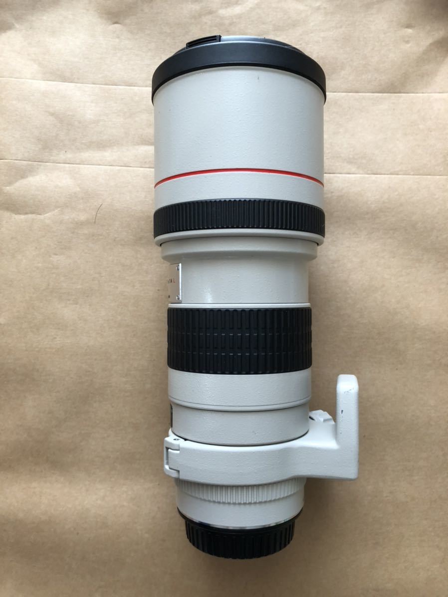 Canon LENS EF300mm 1:4L - coastalcareeracademy.com