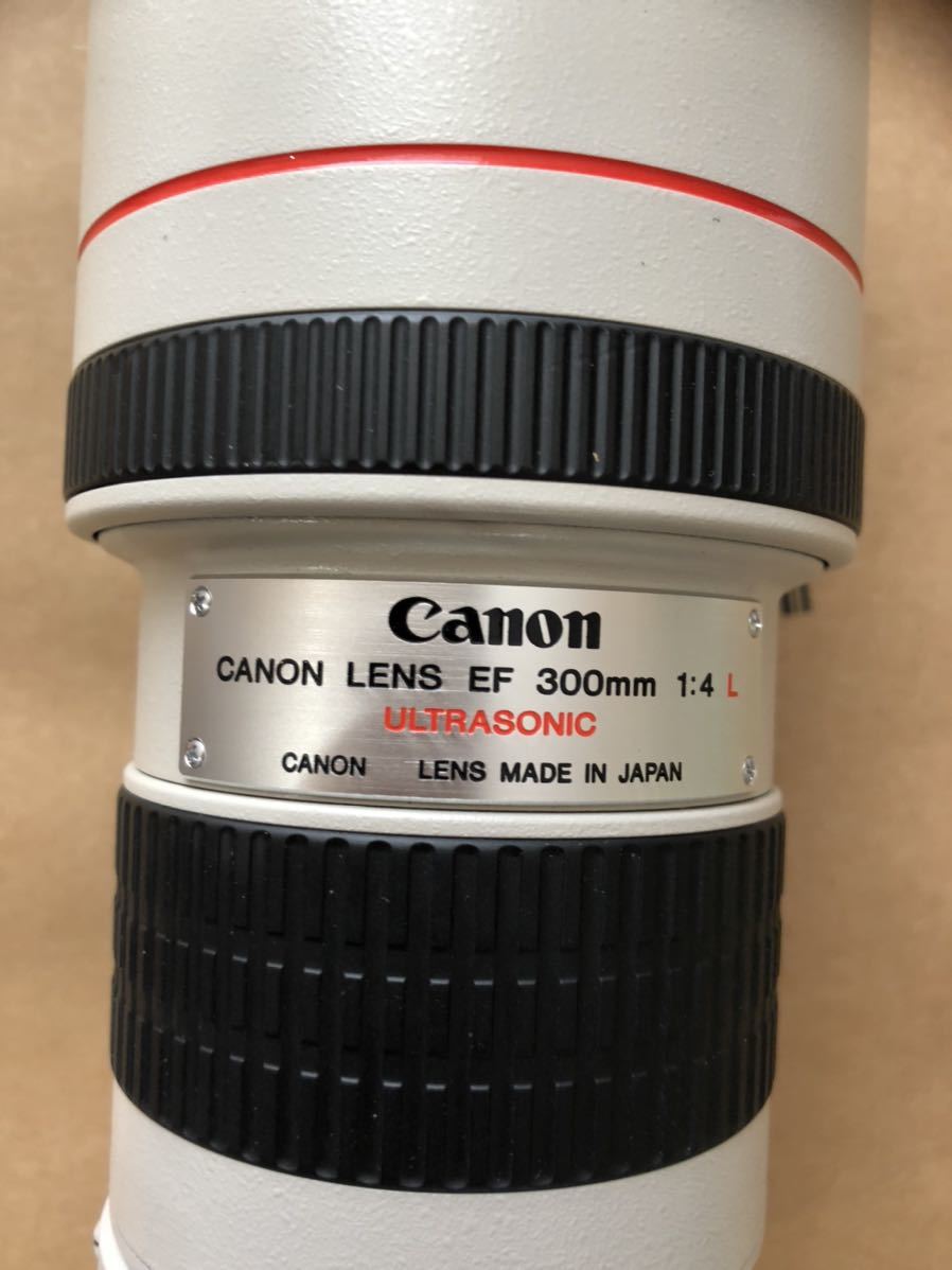 Canon LENS EF300mm 1:4L - coastalcareeracademy.com