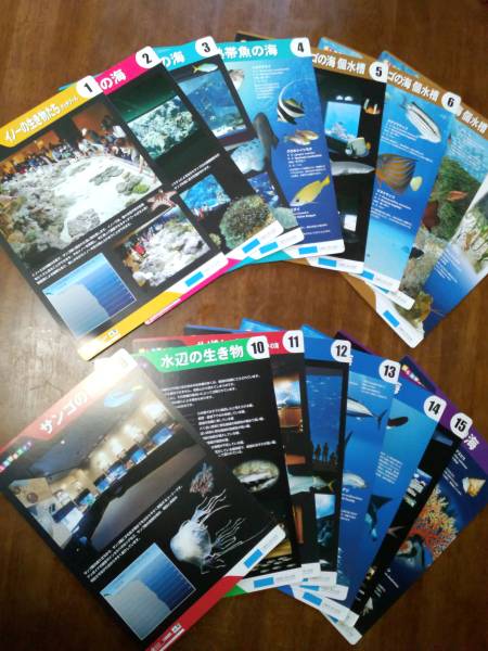 Okinawa * beautiful . sea aquarium * beautiful . sea observation guide all 16 sheets illustrated reference book *