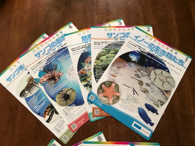 * Okinawa * beautiful . sea aquarium * beautiful . sea observation guide * all 10 kind set (10 sheets )