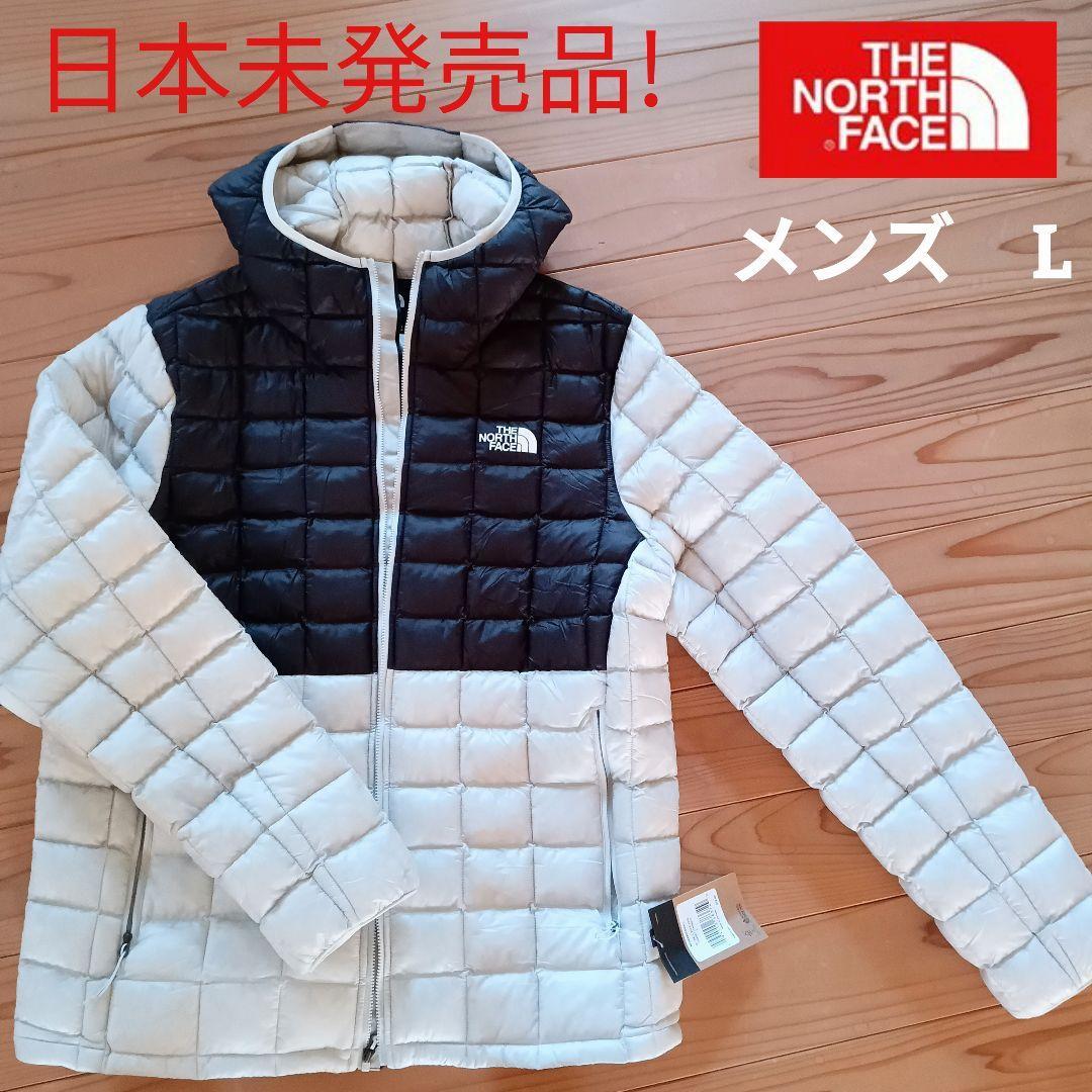 ダウンジェケット新品 日本未発売 ノースフェイス メンズ ツートン