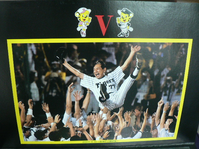 未使用　２００３年　阪神タイガース　優勝　切手セット　８０円ｘ１０枚_画像5