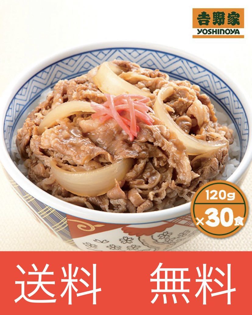 吉野家 牛丼の具 120g×30食