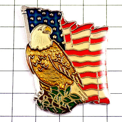  pin badge * star article flag . Eagle . America .. country /USA national flag * France limitation pin z* rare . Vintage thing pin bachi