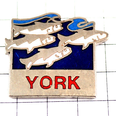  pin badge * yoke underwater ... fish ..* France limitation pin z* rare . Vintage thing pin bachi
