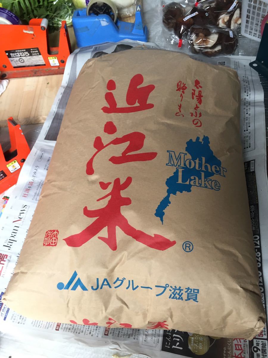 令和4年産 コシヒカリ 30kg 近江米 | monsterdog.com.br
