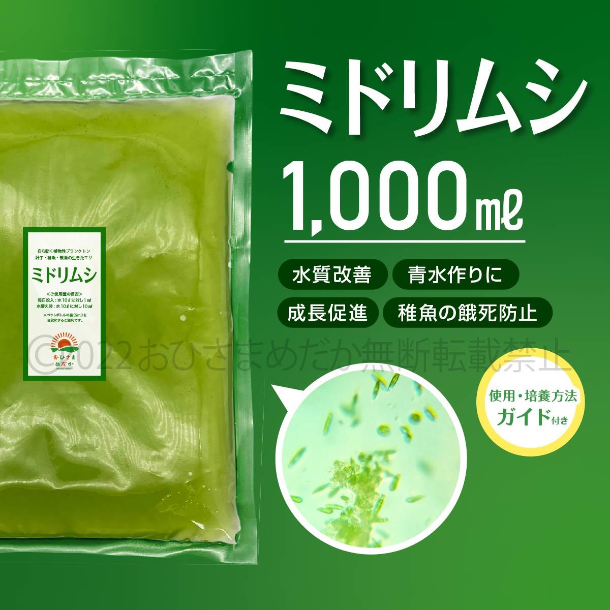 超濃縮 ミドリムシ 1000ml めだか メダカ 針子 エサ 稚魚 ベタ psb  金魚 ミジンコ クロレラ ゾウリムシ の培養ガイド付きの画像1