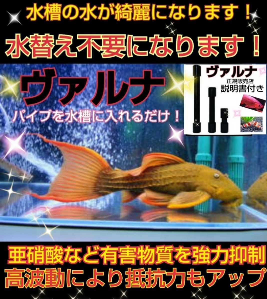 2022新発 水槽の水が綺麗になります【ヴァルナ8㎝】水替え不要で透明度