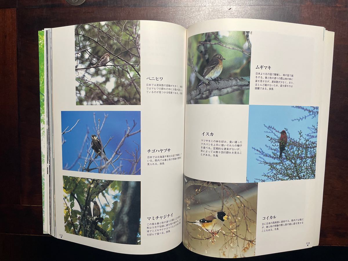 fu расческа .. дикая птица вся страна дикая птица. ... память журнал наблюдение Aizu Fukushima префектура. дикая птица . очень подробный.. 174 страница 
