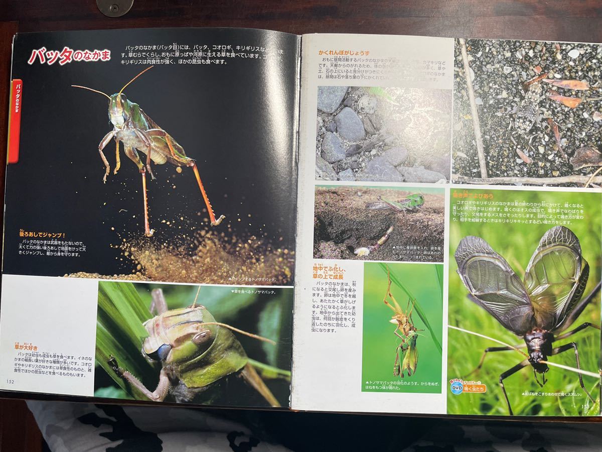 .. company move illustrated reference book MOVE Move insect 