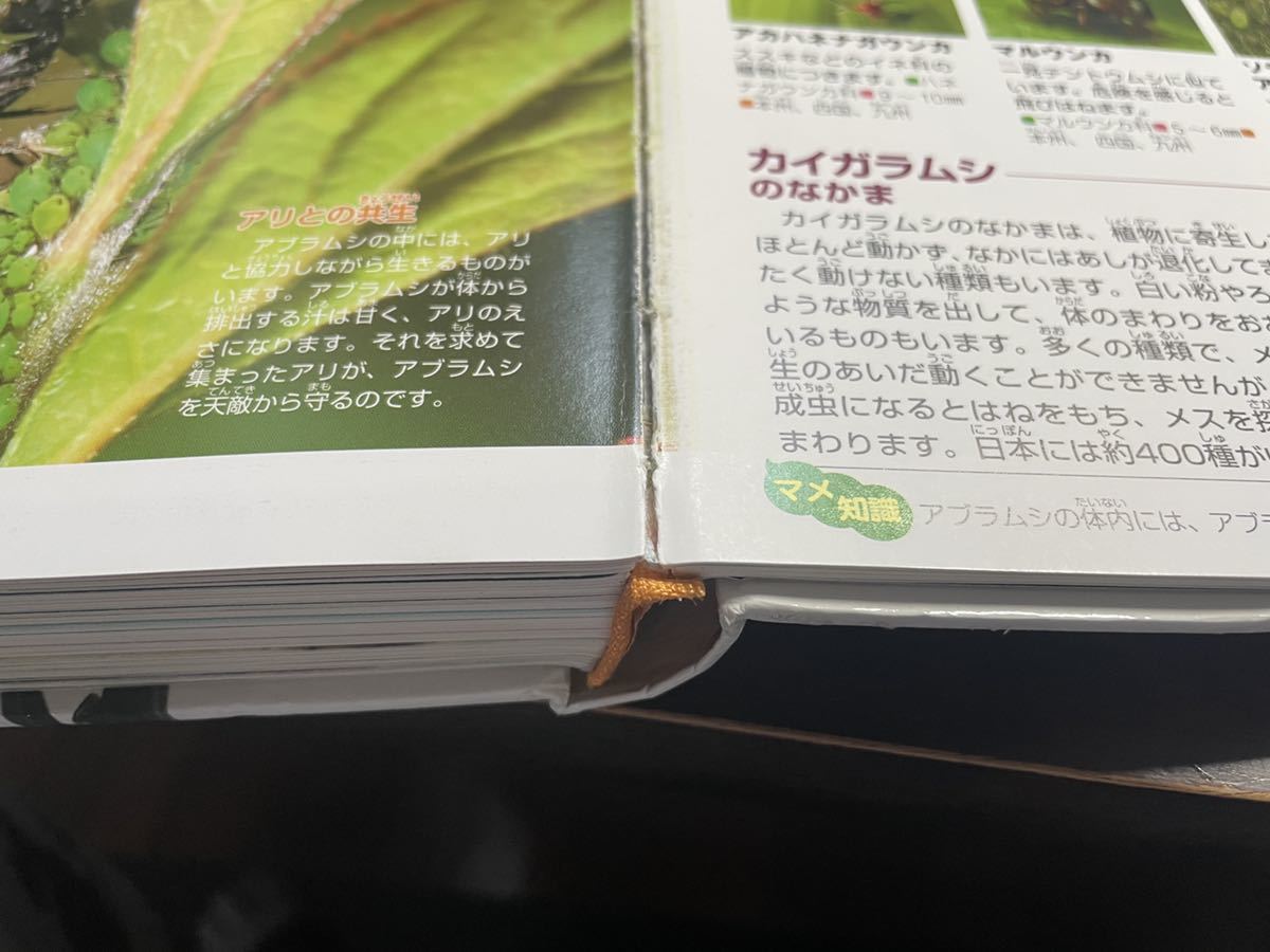 .. company move illustrated reference book MOVE Move insect 