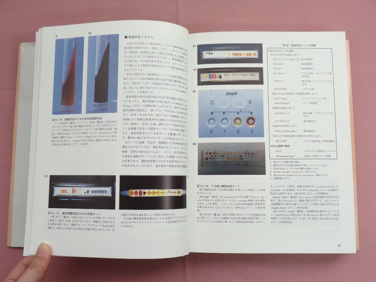 ☆初版 小冊子付き 『 カラーグラフィック 図説 食品汚染病原微生物 - 健康危害と予防のための衛生管理 』 丸山務 熊谷進 廣川書店 - 医学一般 ☆初版 小冊子付き 『 カラーグラフィック 図説 食品汚染病原微生物 - 健康危害と予防のための衛生管理 』 丸山務 熊谷進 廣川書店 - 医学一般