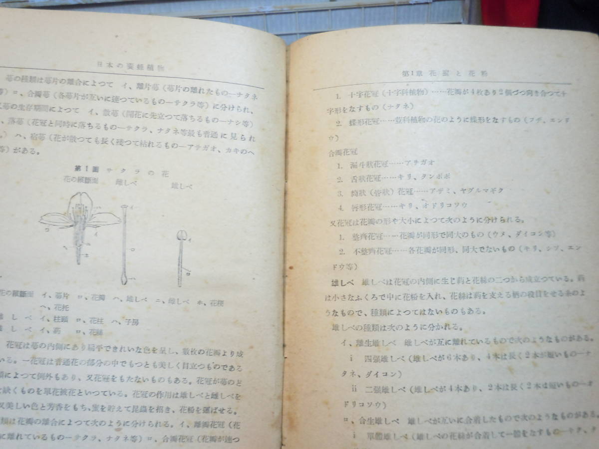 ARS bookstore |[ japanese . bee plant ] author *... one * issue.1949 year * Kashiwa leaf paper ./ flower molasses . pollen *. bee . molasses source * japanese . bee plant * molasses bee . agriculture work thing. of various places molasses source 