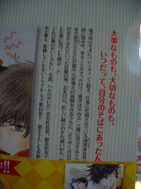 9 1発売 小冊子付き特装版 Super Lovers 16 出版社特典 漫画カード付 あべ美幸 ボーイズラブ 売買されたオークション情報 Yahooの商品情報をアーカイブ公開 オークファン Aucfan Com 9 1発売 小冊子付き特装版 Super Lovers 16 出版社特典 漫画カード付 あべ美幸 ボーイズラブ 売買されたオークション情報 Yahooの商品情報をアーカイブ公開 オークファン Aucfan Com