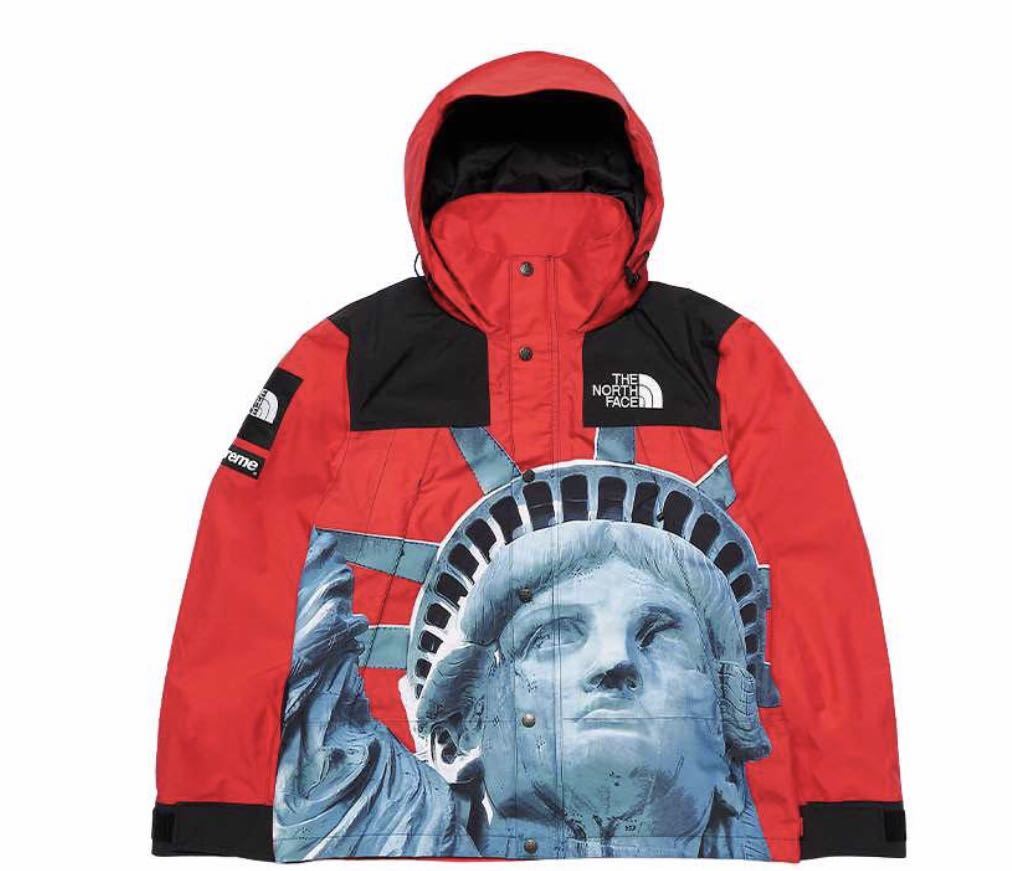 超激安 19AW Supreme The North Face Statue of Liberty Mountain